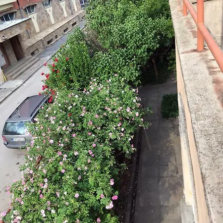 Stoyan Staynov House Penzion Kazanlŭk